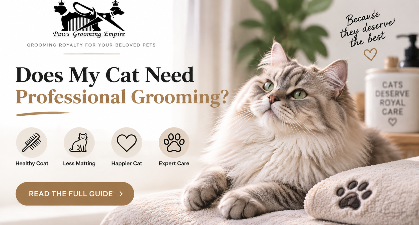 Does My Cat Need Professional Grooming? Signs It’s Time To Book a Grooming Appointment