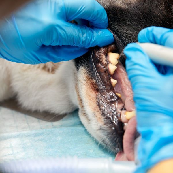 WhatsApp Image 2025-10-24 at 20.44.14_62f28fe1.jpg