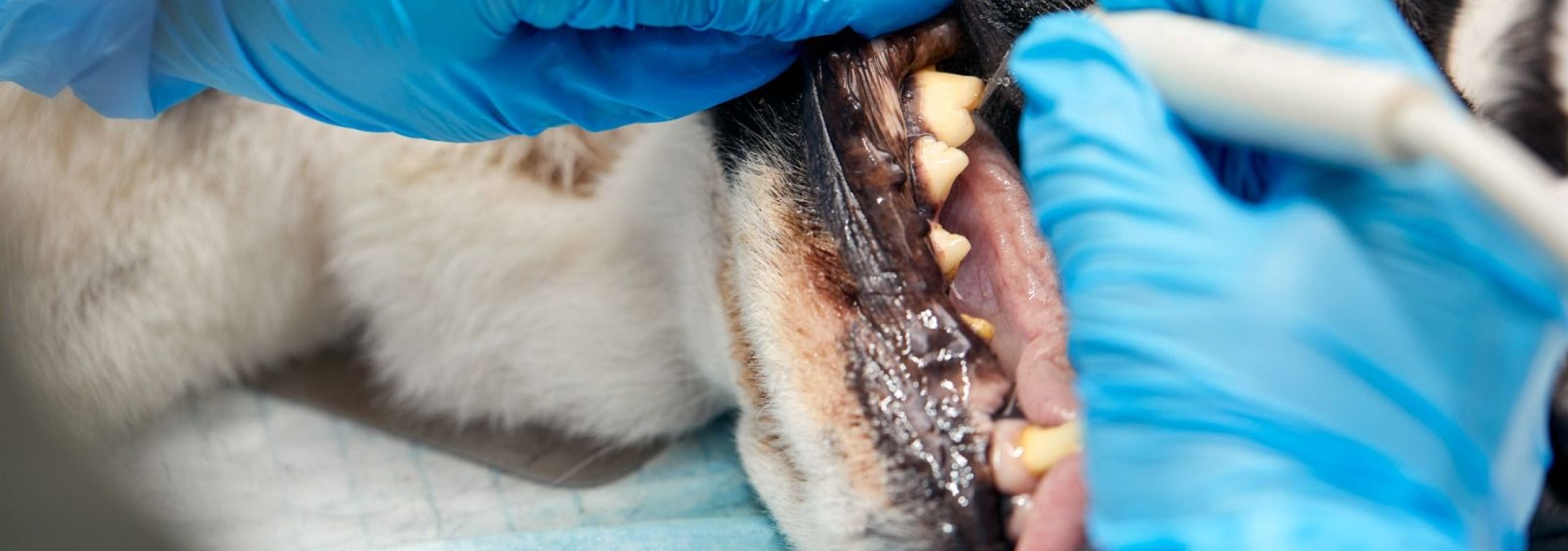 WhatsApp Image 2025-10-24 at 20.44.14_62f28fe1.jpg